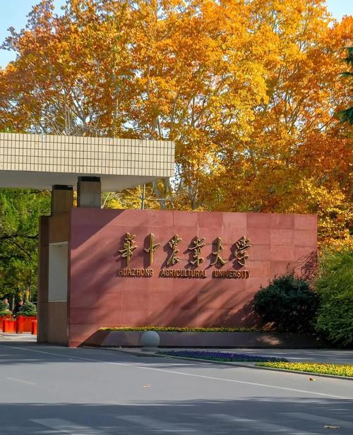 华农2025音乐生招生-第3张图片-泰美艺术培训