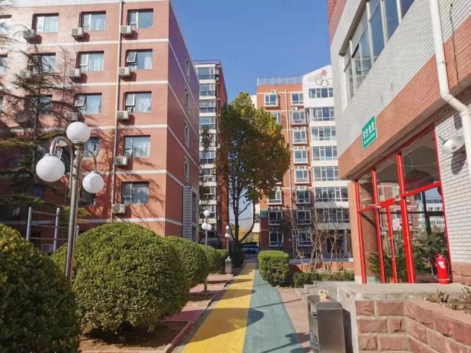 北京爱莲舞蹈学院是几本？-第1张图片-泰美艺术培训