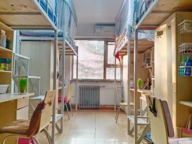 北京爱莲舞蹈学院是几本？-第2张图片-泰美艺术培训