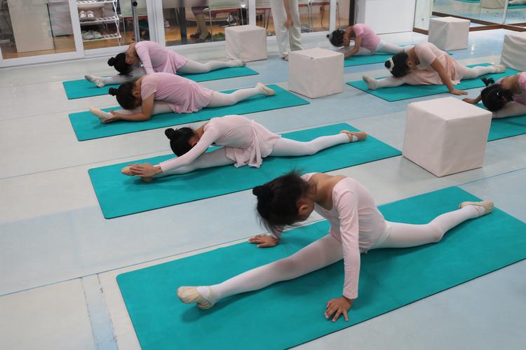 郑州有哪些技校开设舞蹈专业？-第2张图片-泰美艺术培训