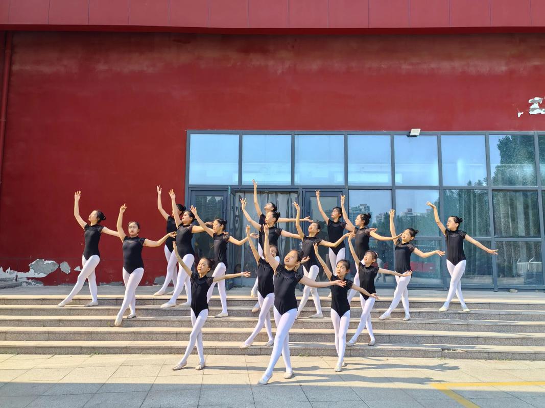 郑州有哪些技校开设舞蹈专业？-第3张图片-泰美艺术培训