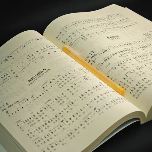 2025山东艺考音乐类有哪些变化？-第2张图片-泰美艺术培训