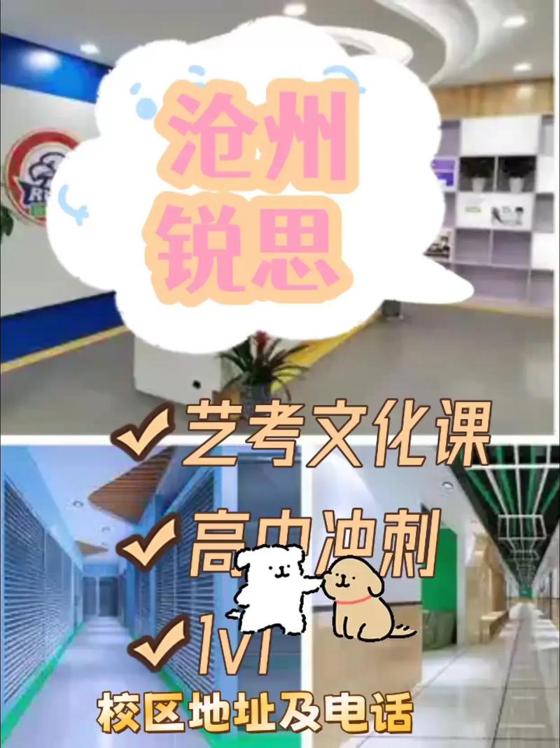 河北2025年艺考地点定在哪？-第2张图片-泰美艺术培训