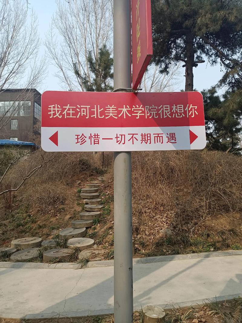 河北美术学院就业信息网有何作用?-第2张图片-泰美艺术培训 河北美术学院就业信息网有何作用?-第2张图片-泰美艺术培训