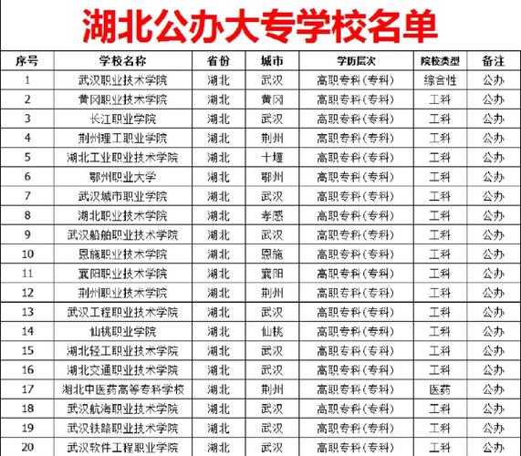 湖北有哪些院校设立了音乐专业？-第2张图片-泰美艺术培训