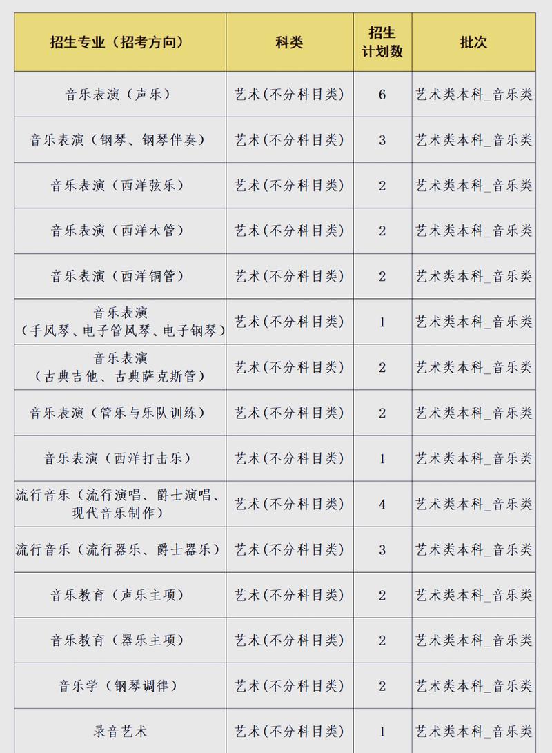2025年音乐大学本科招生有何新变化？-第1张图片-泰美艺术培训