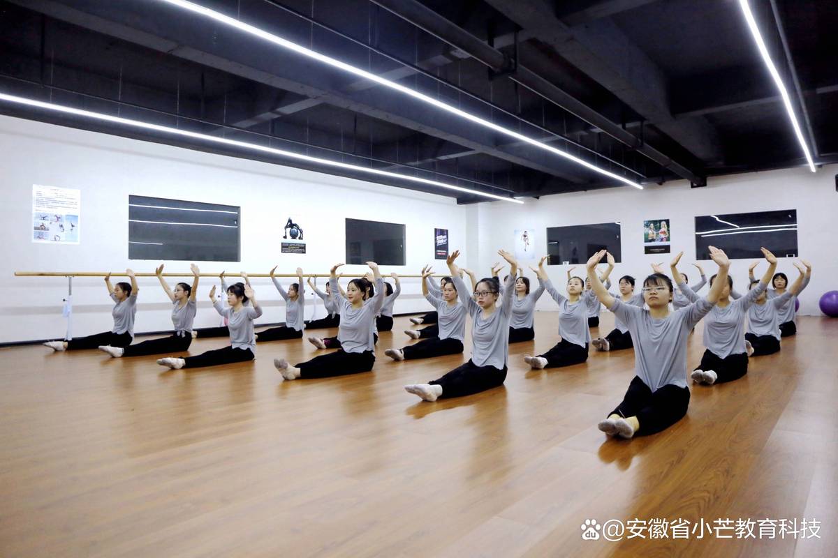 初中毕业如何考舞蹈学院？门槛条件有哪些？-第2张图片-泰美艺术培训