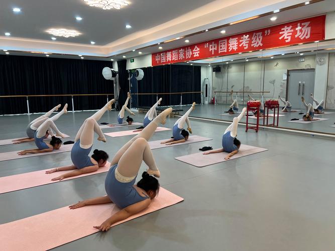 西南民族大学舞蹈学成教如何报考？-第3张图片-泰美艺术培训