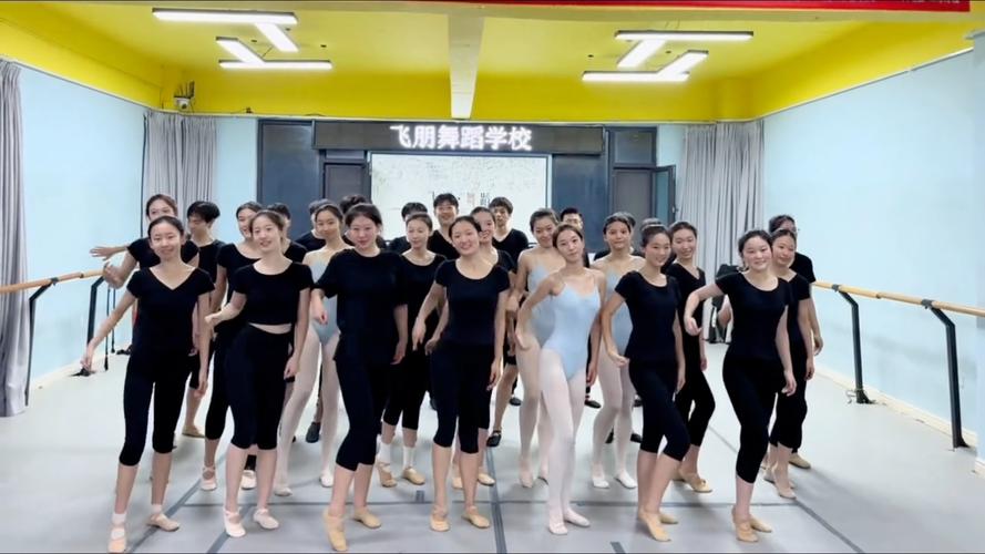 太原哪些初中开设舞蹈专业?-第3张图片-泰美艺术培训 太原哪些初中开设舞蹈专业?-第3张图片-泰美艺术培训