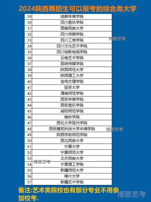 舞蹈生可以考大学有哪些-第2张图片-泰美艺术培训