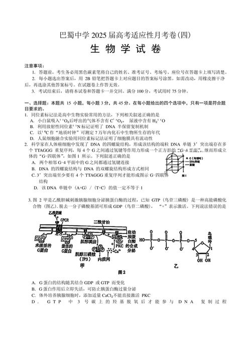 2025年稽阳联考生物-第3张图片-泰美艺术培训