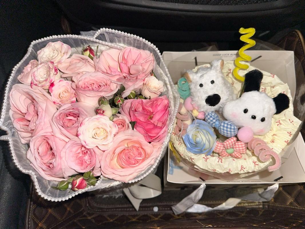 焦作大学舞蹈表演专业好考吗？-第1张图片-泰美艺术培训