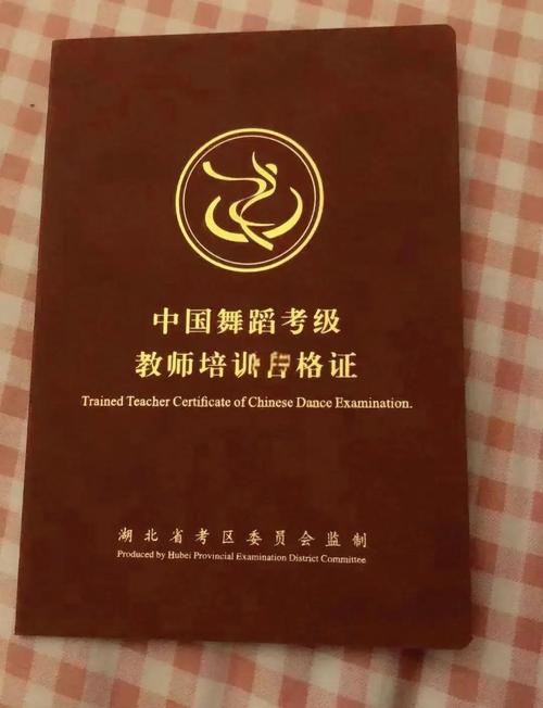 舞蹈考级证给考生加分吗-第3张图片-泰美艺术培训