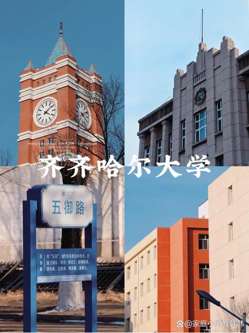 齐齐哈尔有哪些艺考院校可选？-第1张图片-泰美艺术培训