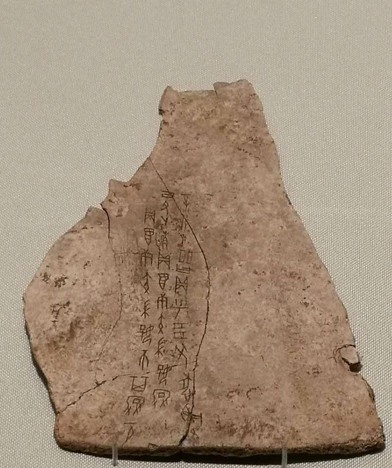 821舞蹈史论参考书目有哪些核心书籍？-第2张图片-泰美艺术培训