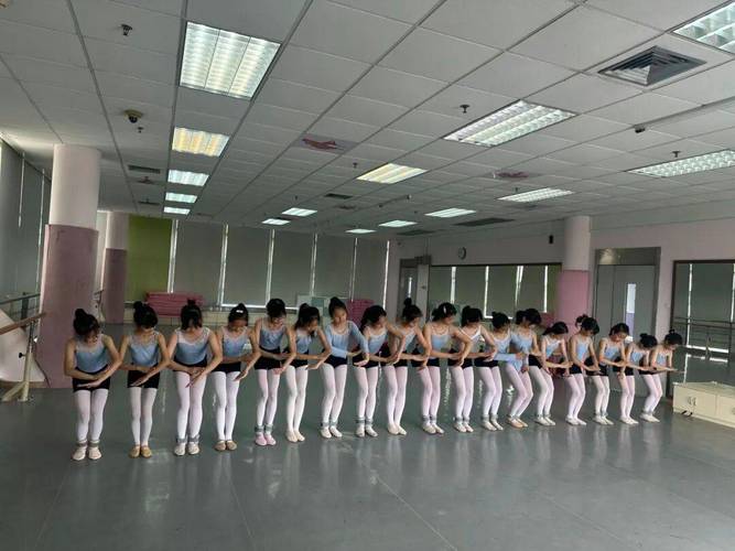 2025舞蹈类专科学校怎么选？-第2张图片-泰美艺术培训