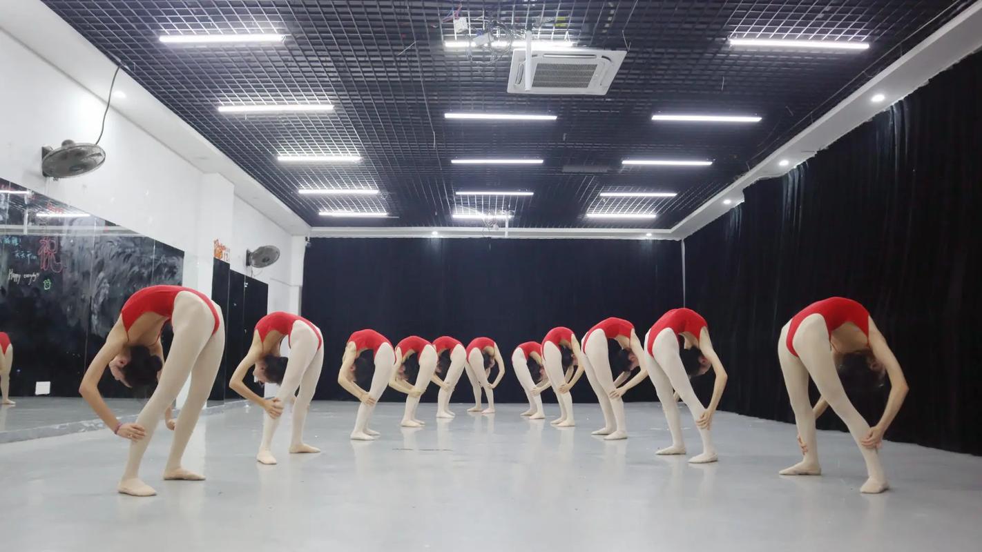 黑龙江哈尔滨舞蹈省联考有何新变化?-第1张图片-泰美艺术培训 黑龙江哈尔滨舞蹈省联考有何新变化?-第1张图片-泰美艺术培训