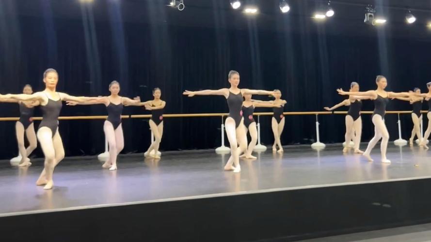 黑龙江哈尔滨舞蹈省联考有何新变化？-第2张图片-泰美艺术培训