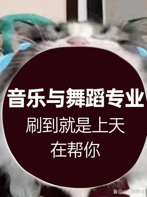 音乐舞蹈专业,该如何选择?-第1张图片-泰美艺术培训 音乐舞蹈专业,该如何选择?-第1张图片-泰美艺术培训