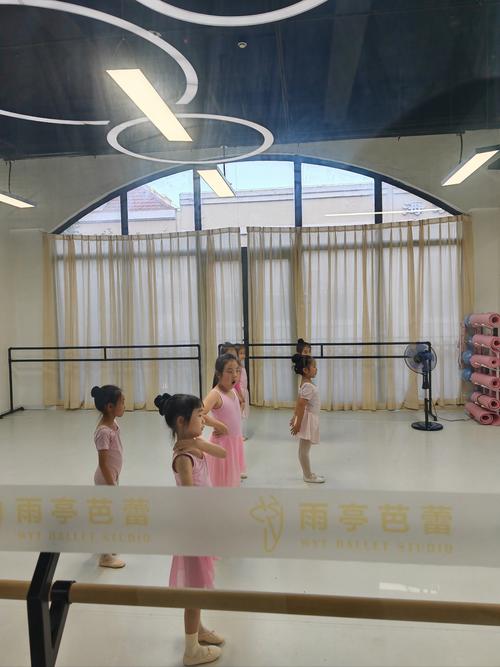 成都舞蹈全日制培训学校哪家好？-第3张图片-泰美艺术培训