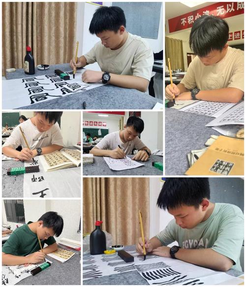 联考书法生与美术生，哪个人数更多？-第3张图片-泰美艺术培训