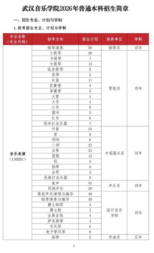 武汉音乐学院舞蹈学招生有何新要求？-第1张图片-泰美艺术培训