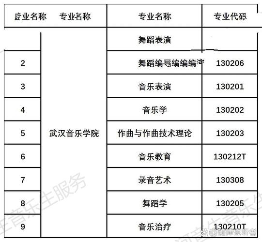 武汉音乐学院舞蹈学招生有何新要求？-第2张图片-泰美艺术培训
