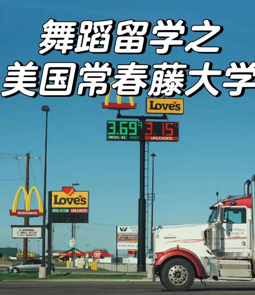 国外舞蹈大学哪家强?排名前十怎么选?-第3张图片-泰美艺术培训 国外舞蹈大学哪家强?排名前十怎么选?-第3张图片-泰美艺术培训