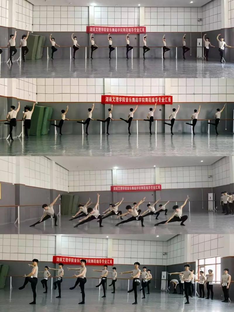 湖南科技学院有舞蹈专业吗？-第1张图片-泰美艺术培训