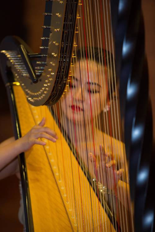 湖南2025年艺考器乐-第2张图片-泰美艺术培训