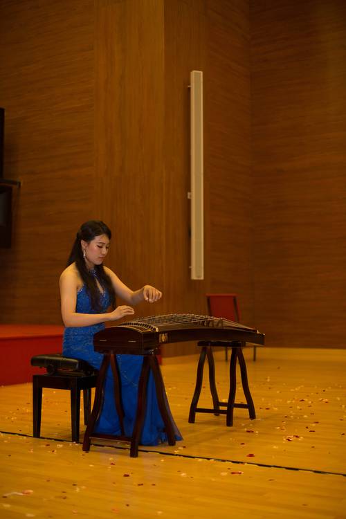 湖南2025年艺考器乐-第3张图片-泰美艺术培训