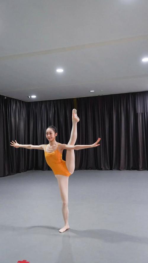 舞蹈生能报音乐类艺考吗?-第2张图片-泰美艺术培训 舞蹈生能报音乐类艺考吗?-第2张图片-泰美艺术培训