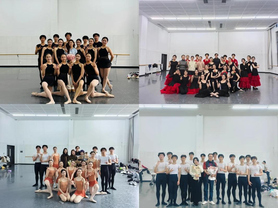 江南大学舞蹈系现场确认-第3张图片-泰美艺术培训