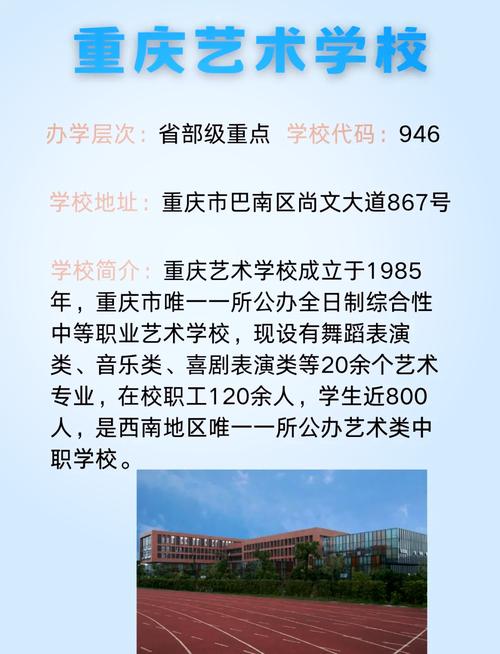 哪些学校承认重庆美术联考成绩？-第1张图片-泰美艺术培训