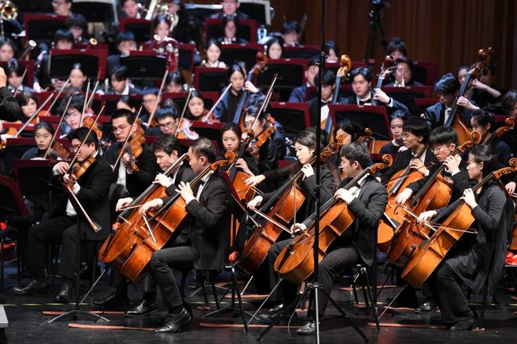 上海音乐学院舞蹈专业有何特色？-第3张图片-泰美艺术培训