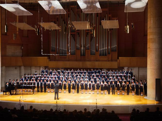 音乐表演合唱专业学什么？就业方向有哪些？-第1张图片-泰美艺术培训