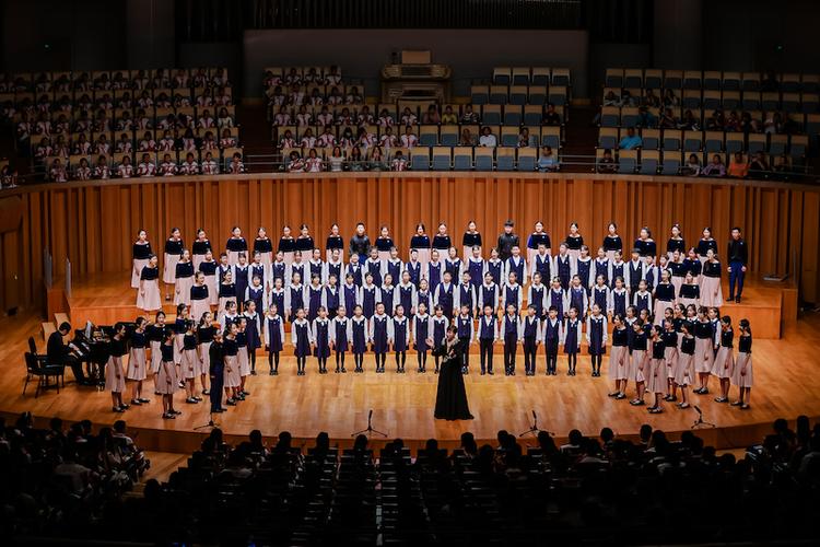 音乐表演合唱专业学什么？就业方向有哪些？-第3张图片-泰美艺术培训