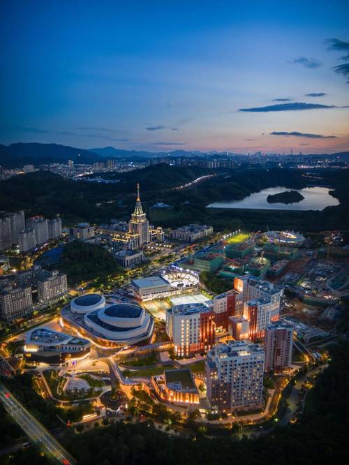 深圳顶尖音乐院校有哪些？-第2张图片-泰美艺术培训