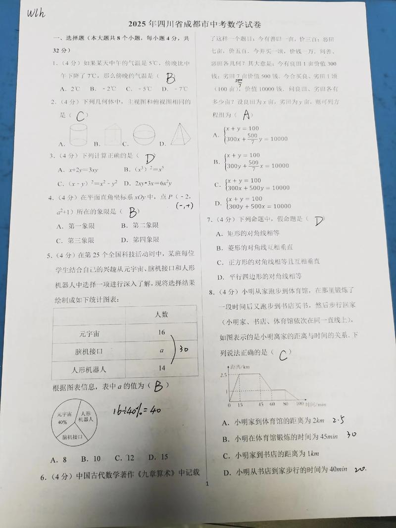 2025四川联考高分卷有何评分秘诀？-第2张图片-泰美艺术培训