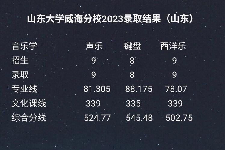 威海哪些学校开设音乐专业？-第1张图片-泰美艺术培训