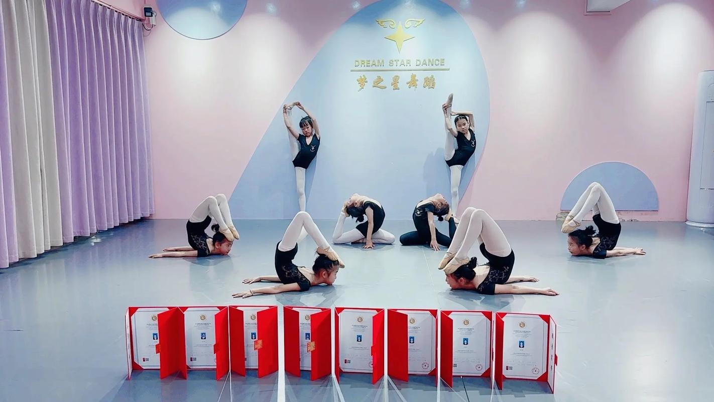 不考级能学舞蹈专业吗？-第2张图片-泰美艺术培训