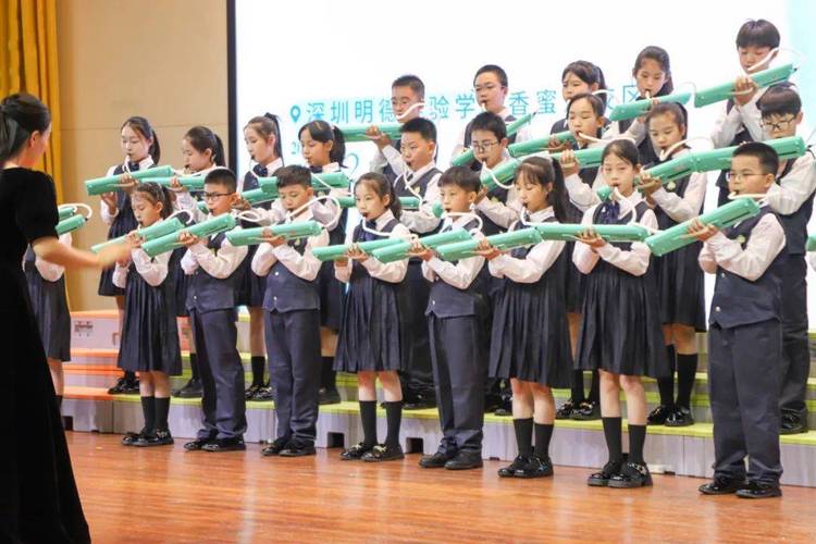 深圳哪些学校有音乐表演-第1张图片-泰美艺术培训