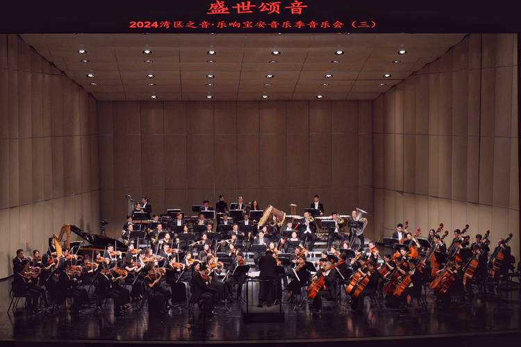 深圳哪些学校有音乐表演-第2张图片-泰美艺术培训