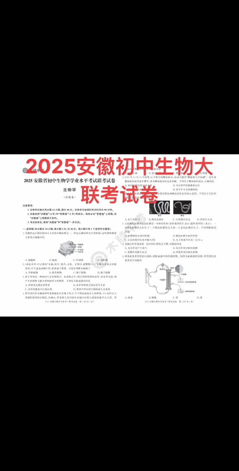 2025安徽艺考联考有哪些变化和注意事项？-第1张图片-泰美艺术培训