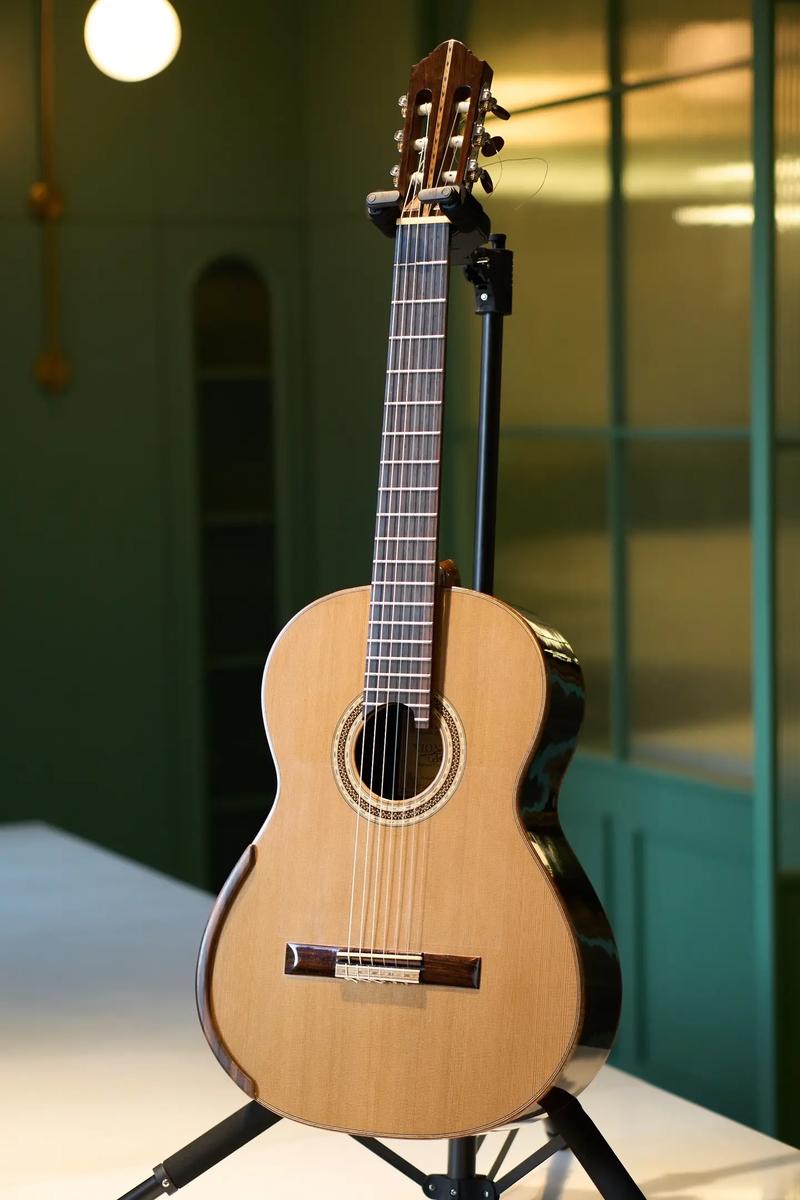 西安音乐学院古典吉他有何独特魅力？-第3张图片-泰美艺术培训