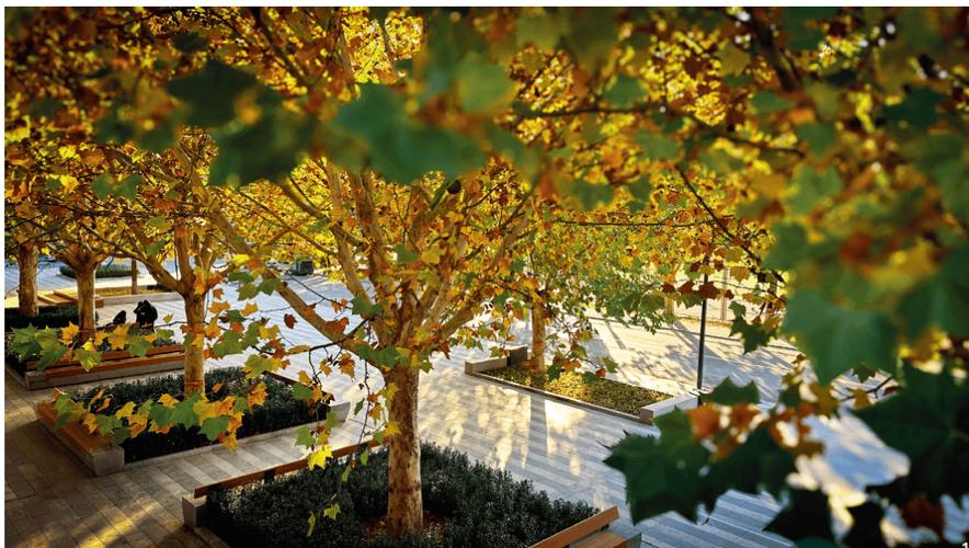 中央美术学院燕郊校区有何独特之处？-第2张图片-泰美艺术培训