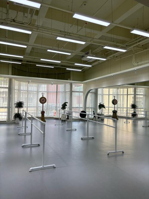 武汉体育学院舞蹈学校区有何特色？-第2张图片-泰美艺术培训