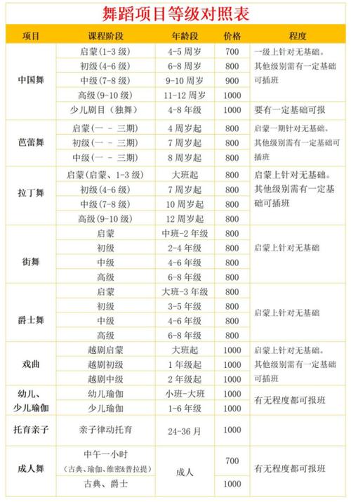 学生舞蹈考级费用究竟多少？-第3张图片-泰美艺术培训