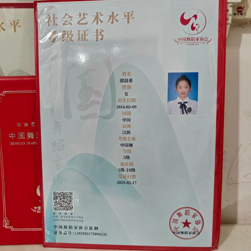 花钱就能买到舞蹈考级证书？-第2张图片-泰美艺术培训