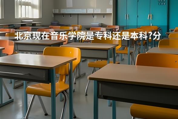 北京哪些大学有音乐专业-第2张图片-泰美艺术培训